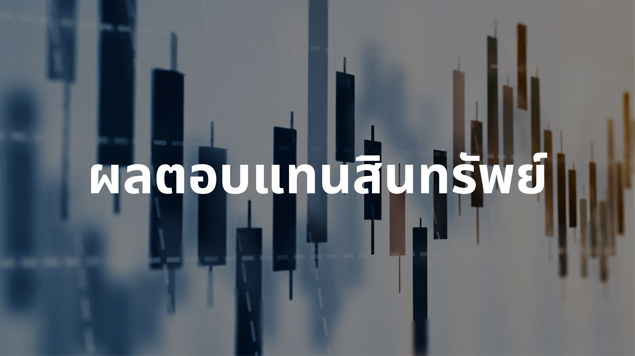 ภาพรวมผลตอบแทนสินทรัพย์ — เดือนแห่งการนำของเทคโนโลยีและการปรับตัวของตลาดเอเชีย
